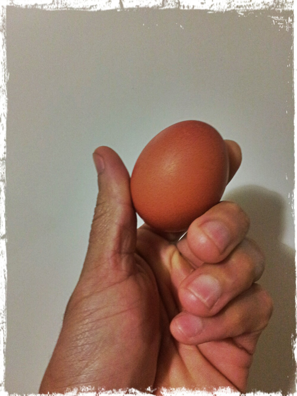 Chicken egg